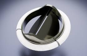 A Complete Guide to Artificial Heart Valves: Types, Materials, and Risks